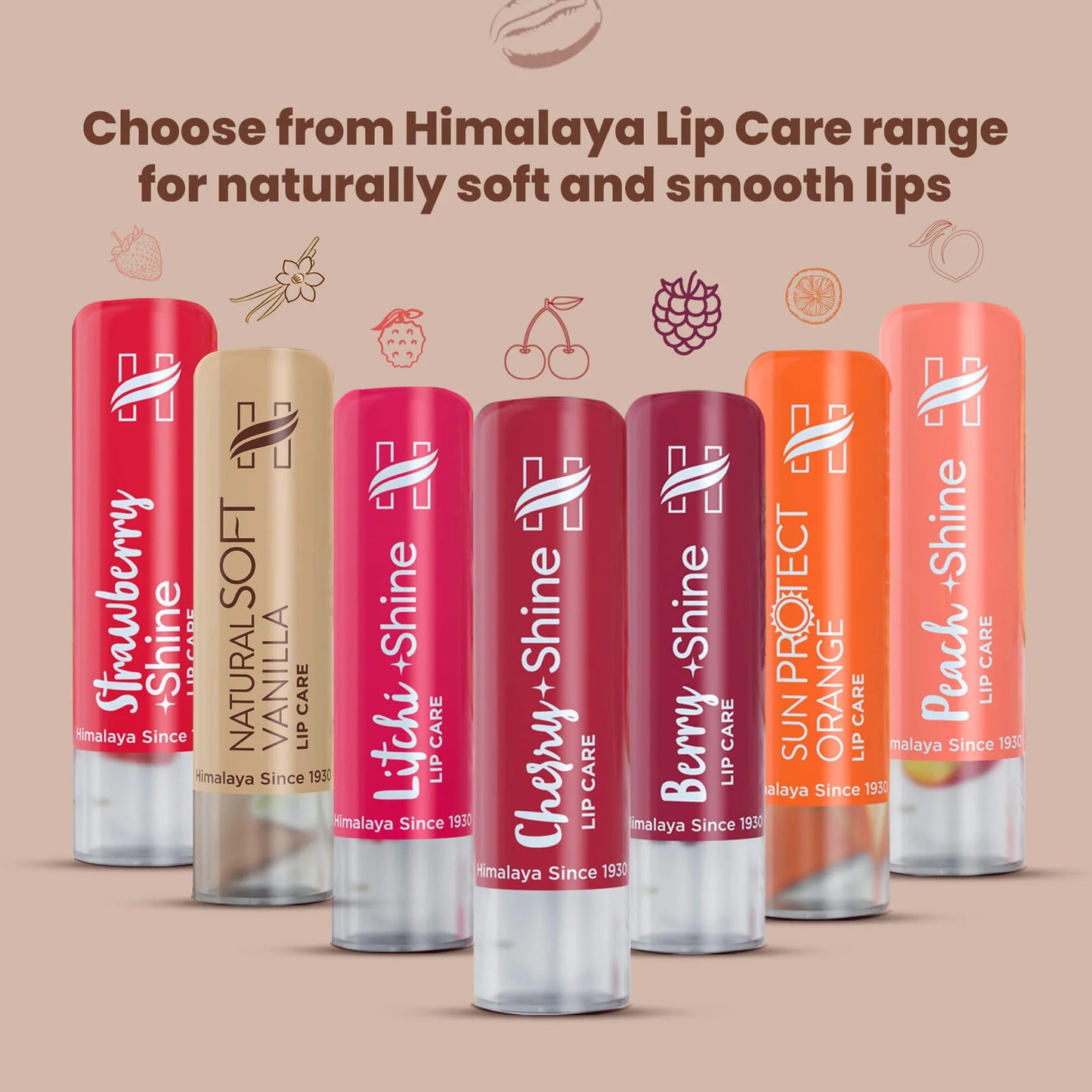 Rich Cocoa Butter Lip Care Cosmetic Cove